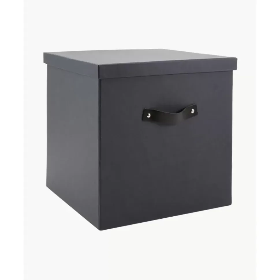 Aufbewahrungsbox Texas