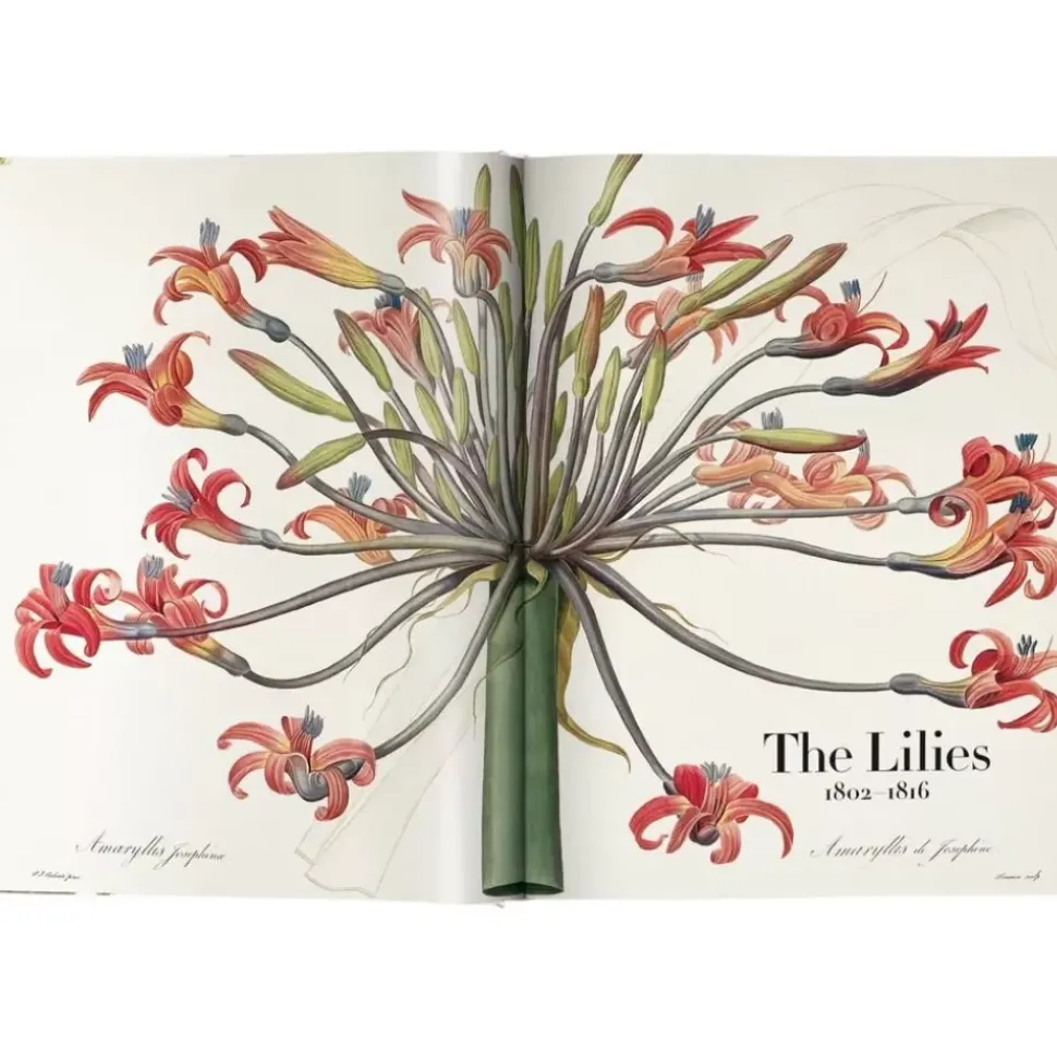 Bildband Book Of Flowers