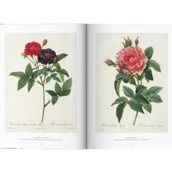 Bildband Book Of Flowers