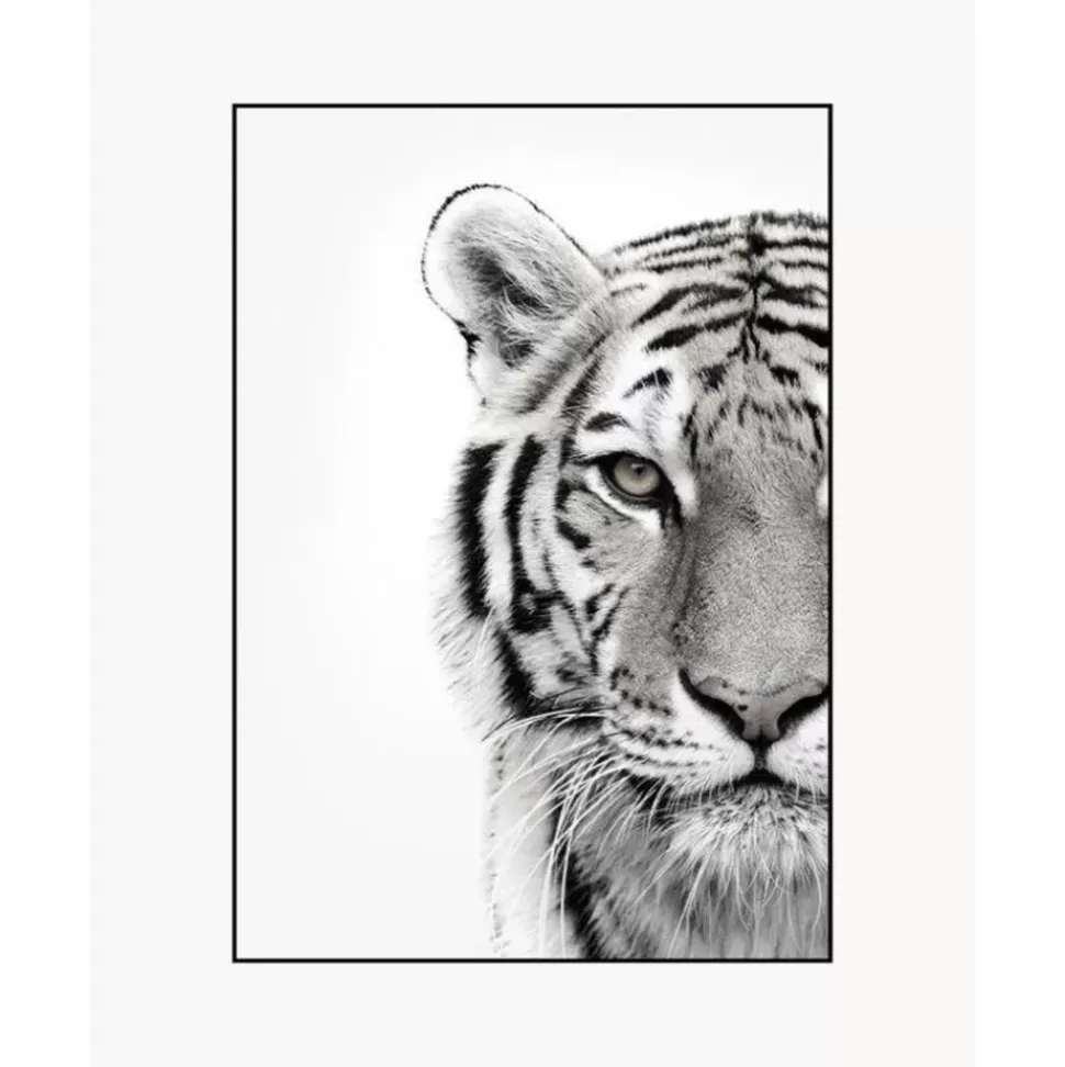 Gerahmter Digitaldruck White Tiger