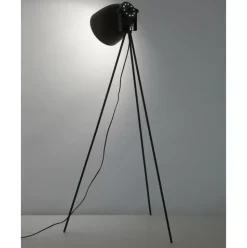 Kleine Tripod Leselampe Studio