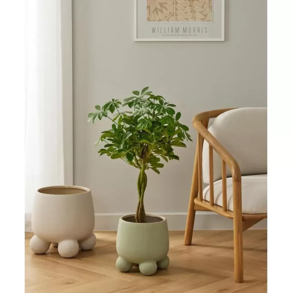 Ubertopf Olea